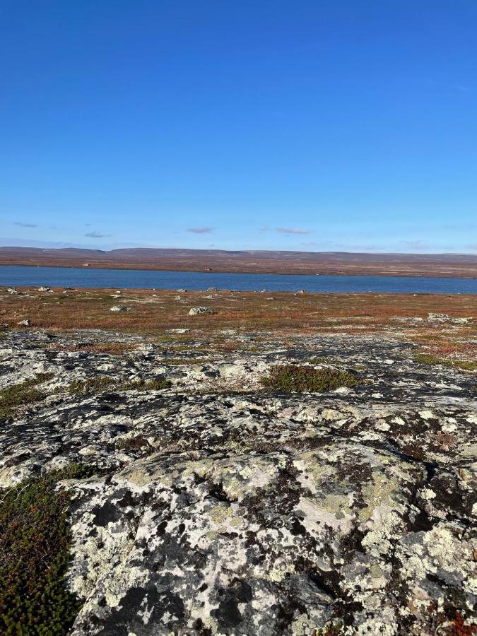 Ekkeroy Lodge - Arctic Living Vadsø Zewnętrze zdjęcie